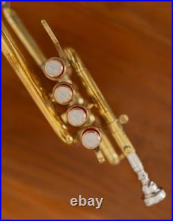 QUEENBRASS /BRASS PICCOLO TRUMPET FREE CASE+Mouthpiece SALE BUY NOW-PICOLO HORN