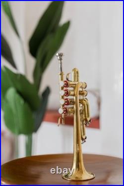 QUEENBRASS /BRASS PICCOLO TRUMPET FREE CASE+Mouthpiece SALE BUY NOW-PICOLO HORN