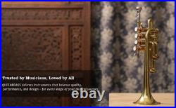 QUEENBRASS /BRASS PICCOLO TRUMPET FREE CASE+Mouthpiece SALE BUY NOW-PICOLO HORN