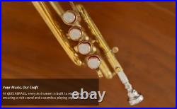 QUEENBRASS /BRASS PICCOLO TRUMPET FREE CASE+Mouthpiece SALE BUY NOW-PICOLO HORN