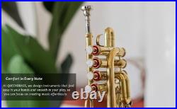 QUEENBRASS /BRASS PICCOLO TRUMPET FREE CASE+Mouthpiece SALE BUY NOW-PICOLO HORN