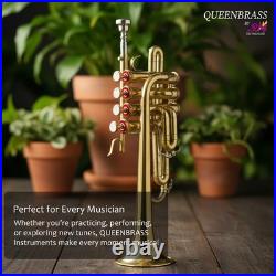 QUEENBRASS /BRASS PICCOLO TRUMPET FREE CASE+Mouthpiece SALE BUY NOW-PICOLO HORN