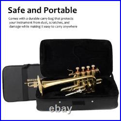 QUEENBRASS /BRASS PICCOLO TRUMPET FREE CASE+Mouthpiece SALE BUY NOW-PICOLO HORN