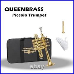 QUEENBRASS /BRASS PICCOLO TRUMPET FREE CASE+Mouthpiece SALE BUY NOW-PICOLO HORN