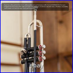 QUEENBRASS-Bb Standard Trumpet Black Nickel Finish 3 Valves/with Case and MP