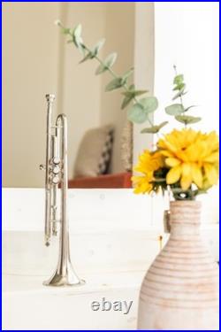 QUEENBRASS-Bb Standard Trumpet Nickel-Finish 3 Valves/with Case and Mouthpiece QUEENBRASS-Bb Standard Trumpet Nickel-Finish 3 Valves/with Case and Mouthpiece
