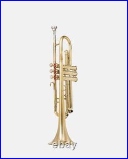 QUEENBRASS India Trumpet Bb Brass BRS HORN WITH CASE AND MOUTHPIECE NICE TUNED