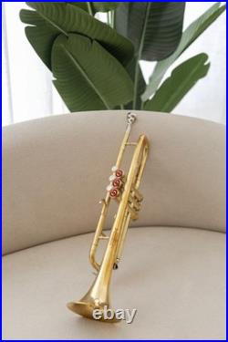 QUEENBRASS India Trumpet Bb Brass BRS HORN WITH CASE AND MOUTHPIECE NICE TUNED