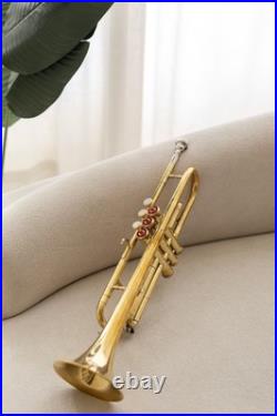 QUEENBRASS India Trumpet Bb Brass BRS HORN WITH CASE AND MOUTHPIECE NICE TUNED