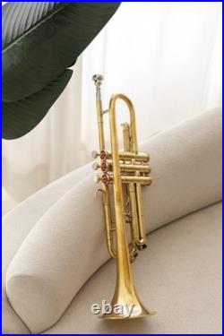 QUEENBRASS India Trumpet Bb Brass BRS HORN WITH CASE AND MOUTHPIECE NICE TUNED