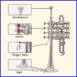 QUEENBRASS Piccolo trumpet nickel and finish with hard case bag and MP