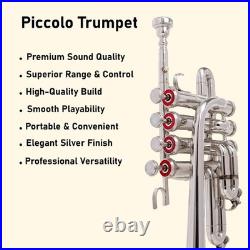 QUEENBRASS / SALE Piccolo trumpet nickel with hard case and MOUTHPIECE
