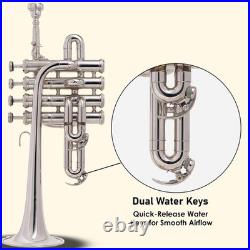 QUEENBRASS / SALE Piccolo trumpet nickel with hard case and MOUTHPIECE