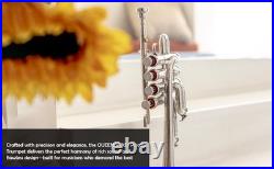 QUEENBRASS / SALE Piccolo trumpet nickel with hard case and MOUTHPIECE