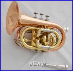 Quality Rose Brass Bb Pocket trumpet horn 2-Mouthpiece With case Free Shipping