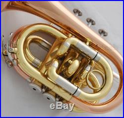 Quality Rose Brass Bb Pocket trumpet horn 2-Mouthpiece With case Free Shipping