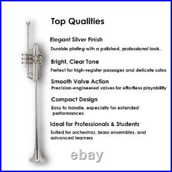 Queenbrass Flag Trumpet Silver Free-hard Case+mouthpiece