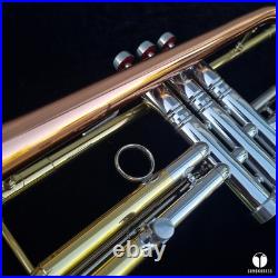 Rare & beautiful C. G. Conn 10a long cornet, COPRION bell GAMONBRASS