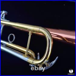 Rare & beautiful C. G. Conn 10a long cornet, COPRION bell GAMONBRASS
