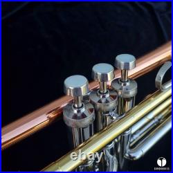 Rare & beautiful C. G. Conn 10a long cornet, COPRION bell GAMONBRASS