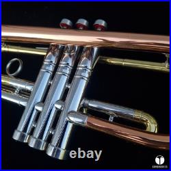 Rare & beautiful C. G. Conn 10a long cornet, COPRION bell GAMONBRASS