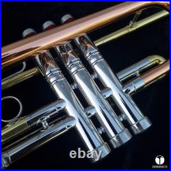 Rare & beautiful C. G. Conn 10a long cornet, COPRION bell GAMONBRASS