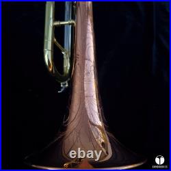 Rare & beautiful C. G. Conn 10a long cornet, COPRION bell GAMONBRASS