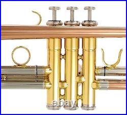 Rosebrass material Wisemann DTR-400 Trumpet, Bb, withcase and mouthpiece