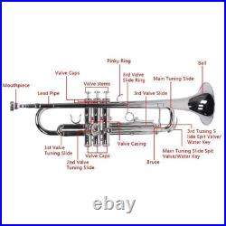 School Band Student Professional Concert Brass Student Bb Trumpet Silver