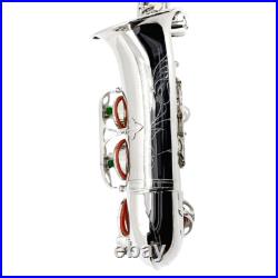 Sliver Alto Saxophone Eb Alto Sax Brass Instrument Kit with Case Accessories NEW