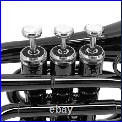 Small Brass Trumpet Cornet With Key & Case Nice Musical Instruments Display Item