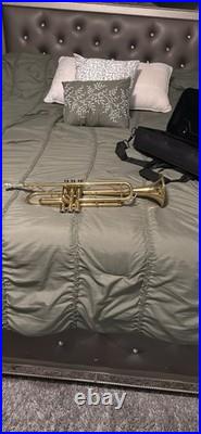 Stagg Bb Trumpet Brass Lacquered Gold with Case, Mouthpiece, Accessories