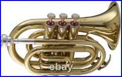 Stagg WS TR245 Bb Pocket Trumpet with Case