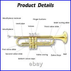 Student trumpet for beginners Bb brass trumpet instruments with carrying case