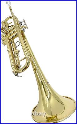 TEACHER APPROVED! CW201TPT Premier Bb Trumpet