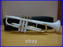 TRUMPET WHITE BRASS Finish Bb flat Trumpet With Free HARD Case+Mouthpiece