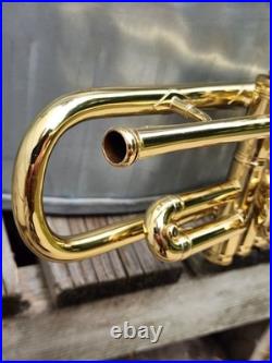The Vega Standard Large Bore Bb Trumpet