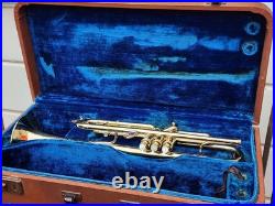 The Vega Standard Large Bore Bb Trumpet
