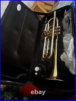 This is a great starting trumpet bought for school and never used. Cleaning Kit