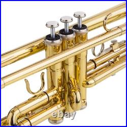 Trompeta instrumentos musicales de viento trompetas BB Con estuche