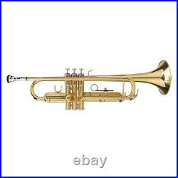 Trompeta instrumentos musicales de viento trompetas BB Con estuche