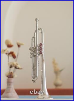 Trumpet Bb Brass With Case and Mouthpiece Nicely Tuned Instrument CHRISTMAS-SALE