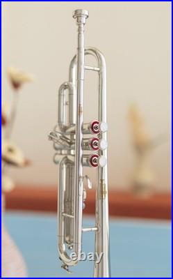 Trumpet Bb Brass With Case and Mouthpiece Nicely Tuned Instrument CHRISTMAS-SALE
