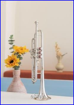 Trumpet Bb CHROME With Case Mouthpiece Nicely Tuned Instrument QUEENBRASS