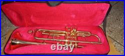 Trumpet Professional Model Jazz Instruments for Orchestra & Band Brass Polish