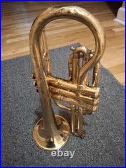 Vintage Blessing XL Cornet, Great Condition And Sound