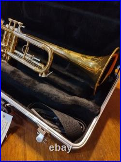 Vintage Early 60's Silvertone Bb / Blessing Artist Stencil / Nice Condition