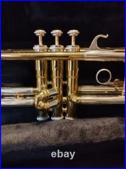 Vintage Early 60's Silvertone Bb / Blessing Artist Stencil / Nice Condition