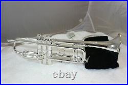 Will Silver Plate Bach ALL Trumpet or Cornets, PLUS WILL REMOVE ALL DENTS
