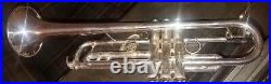 Yamaha Xeno Bb Trumpet, Model YTR-8335RG